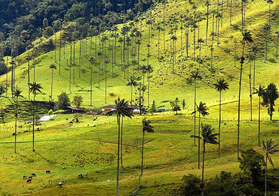 La Mejor Época para Viajar a Colombia, Región por Región